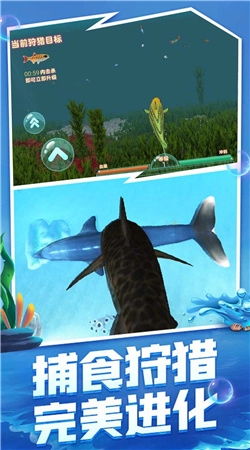 海洋霸主进化记(2)