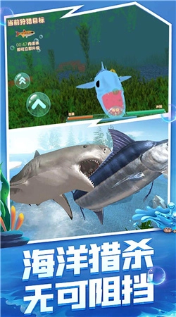 海洋霸主进化记(1)