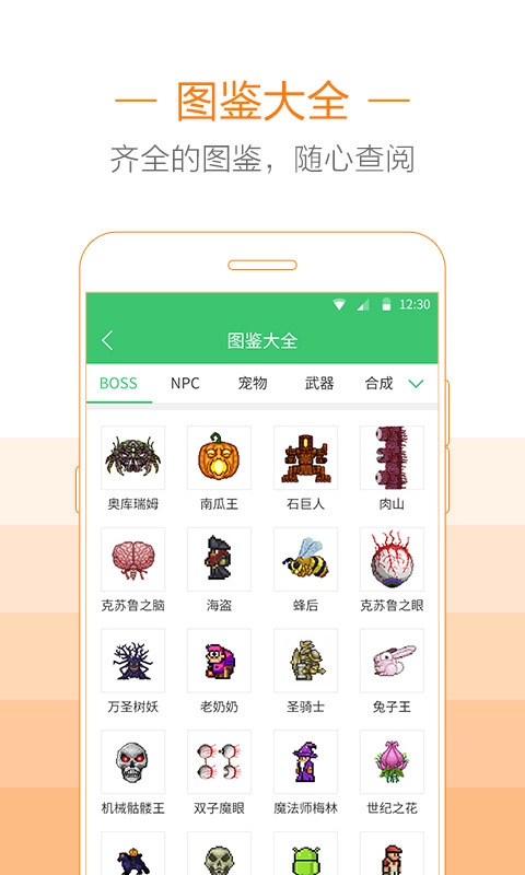 泰拉瑞亚助手图3