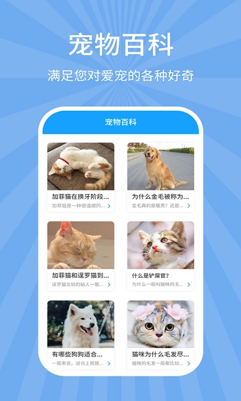 狗猫翻译器图3