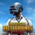pubg国际服地铁逃生正版