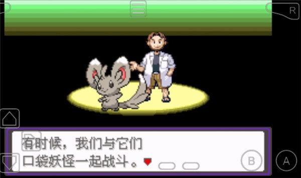 口袋妖怪：漆黑的魅影