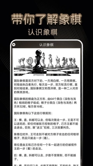 国际象棋单机图2