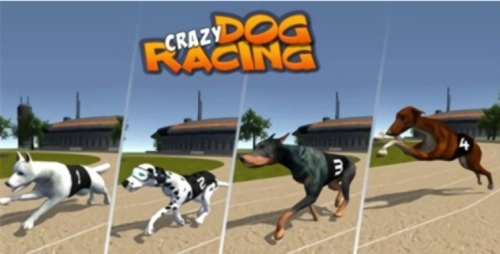 疯狂的狗比赛图1