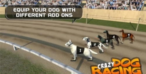 疯狂的狗比赛图2