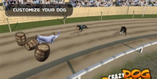 疯狂的狗比赛图3