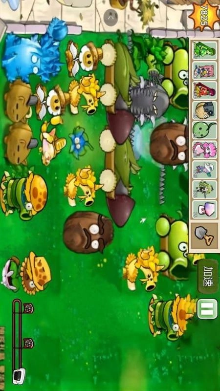 植物僵尸全面战争图1