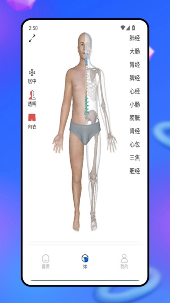 3d人体模型图4