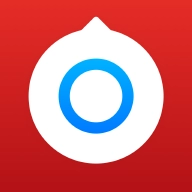 小决定转盘中文版