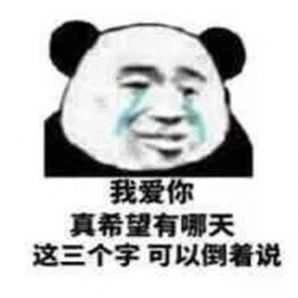 Prada的眼泪PradaPrada地掉表情包 图3