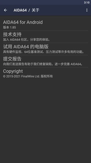 AIDA64图3