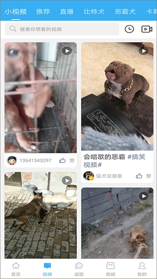 猛犬俱乐部截图2
