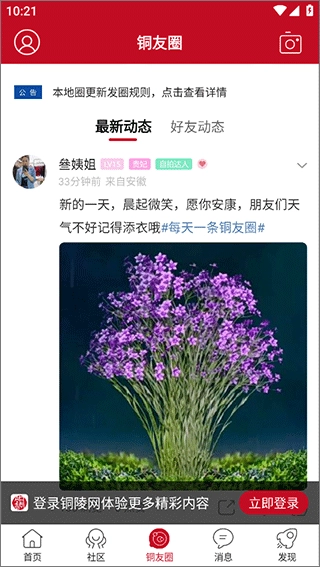 铜陵网手机版