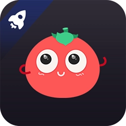 番茄加速器手机版