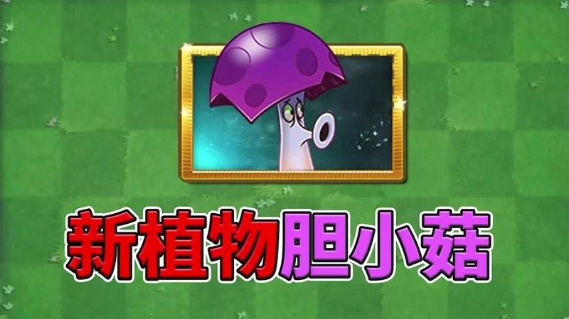 植物大战僵尸胆小菇之梦电脑版
