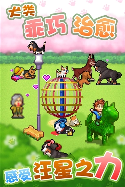 发现狗狗乐园图2