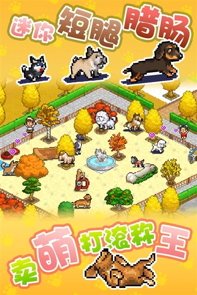 发现狗狗乐园图1