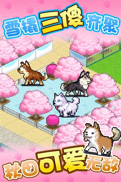 发现狗狗乐园图4