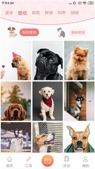 动物语言翻译器免费版图4