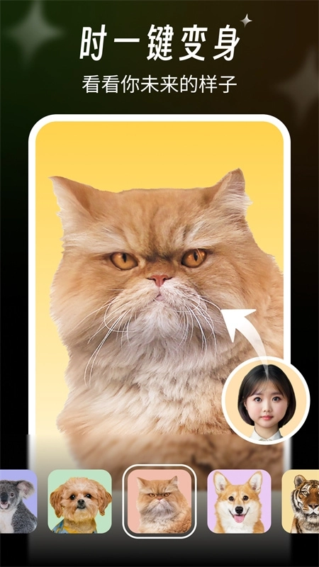 桔子相机最新版图3