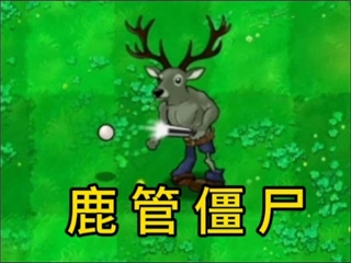 植物大战僵尸逆天版