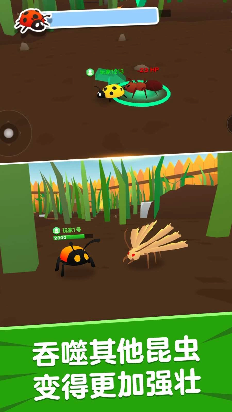 昆虫进化模拟器图1