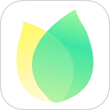 飞火动态壁纸手机版