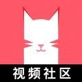 猫咪安装最新版
