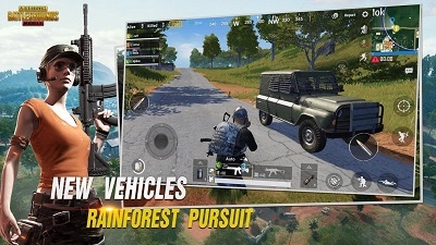 pubg安装正版(2)