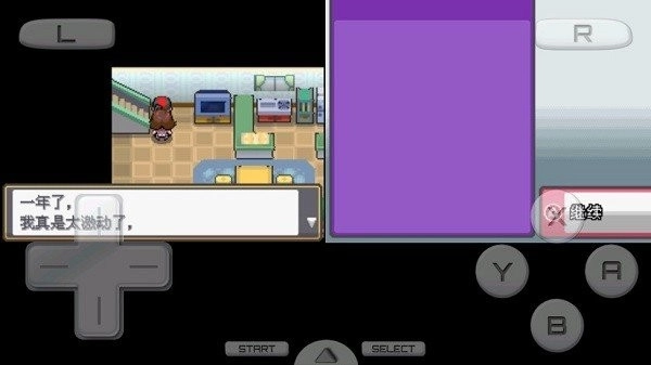 口袋妖怪启示录图1