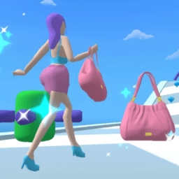 姐姐手提包贼多