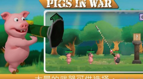 战争中的猪-图3