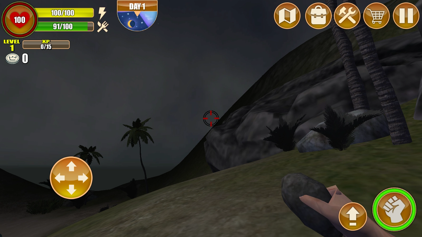 迷失的荒岛求生-图2