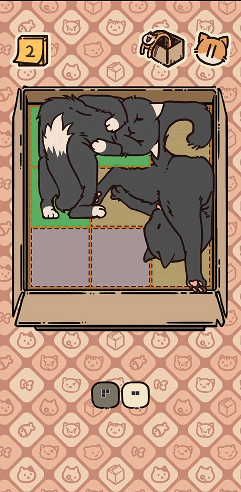 盒子猫游戏图2