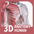 口袋人体解剖安卓版
