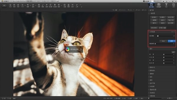 光影魔术手电脑版