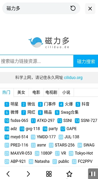 超强磁力搜索软件图4