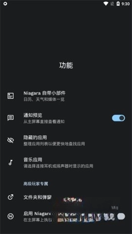 NiagaraLauncher完整版安装指南插图4