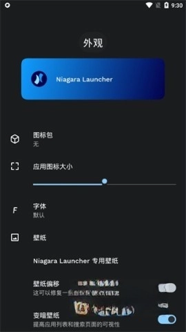 NiagaraLauncher完整版安装指南插图5