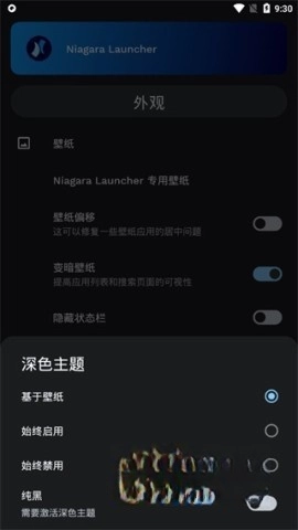 NiagaraLauncher完整版安装指南插图6