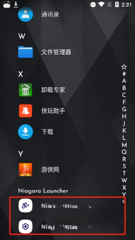 NiagaraLauncher完整版安装指南插图12