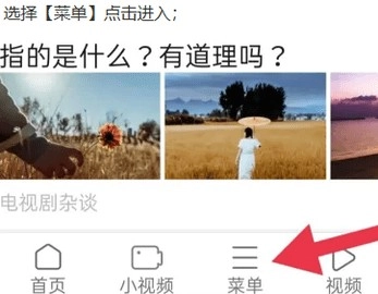 天马浏览器极速版