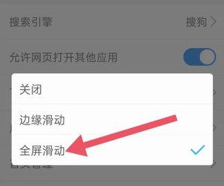 天马浏览器极速版