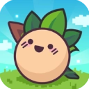 大头菜菜历险记