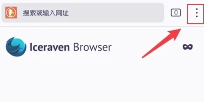 Iceraven浏览器免费版图4