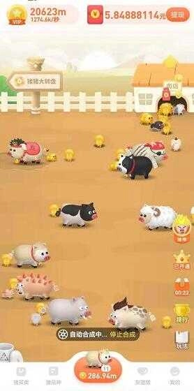 一起来养猪正版