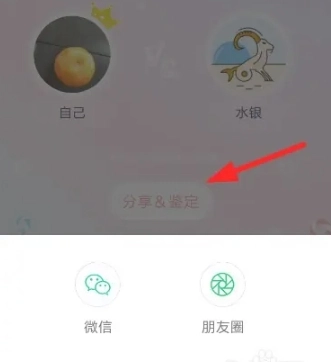准了星座图6