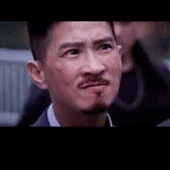 渣渣辉抖音表情包 图5