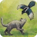 米洛和喜鹊  v1.0.6