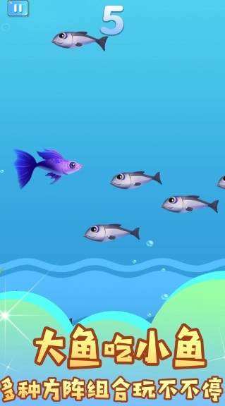 吃遍海洋无敌手(2)